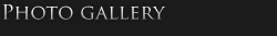Photo Gallery