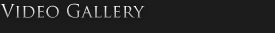 Video Gallery